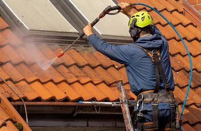 Démoussage et hydrofuge de toiture à Sancheville